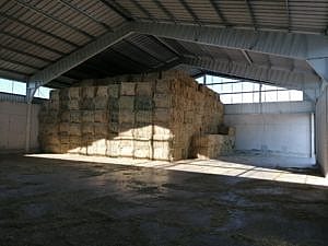 IMG 20190724 075756