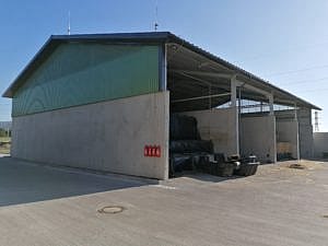 IMG 20190724 075918