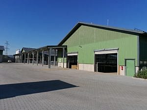 IMG 20190724 080120