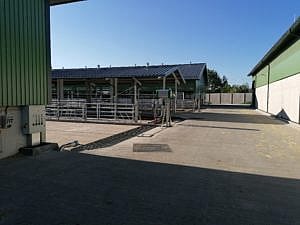 IMG 20190724 080806