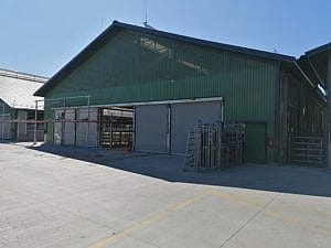 IMG 20190724 100457