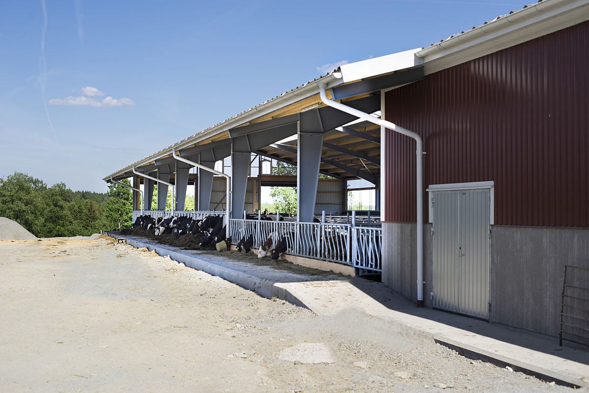 Cattle house, Ljung Sweden | BYGGLANT
