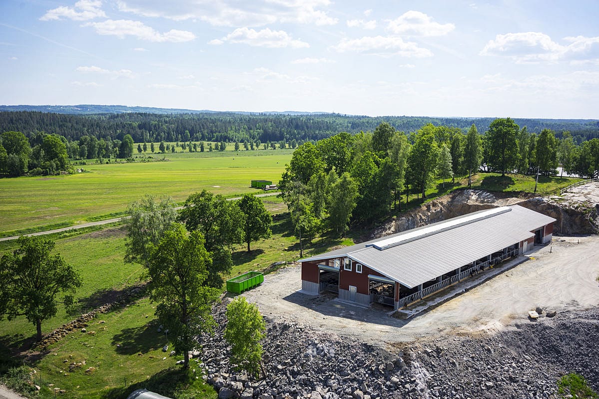 Cattle house, Ljung Sweden | BYGGLANT