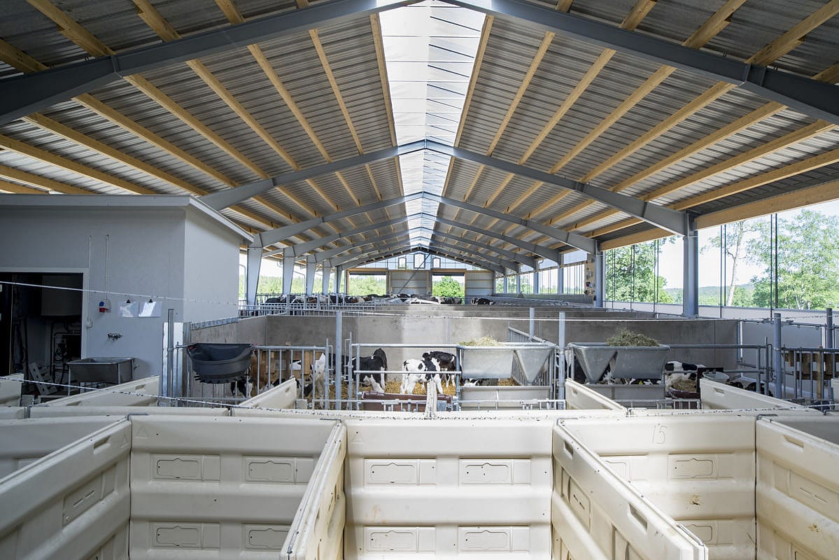 Cattle house, Ljung Sweden | BYGGLANT