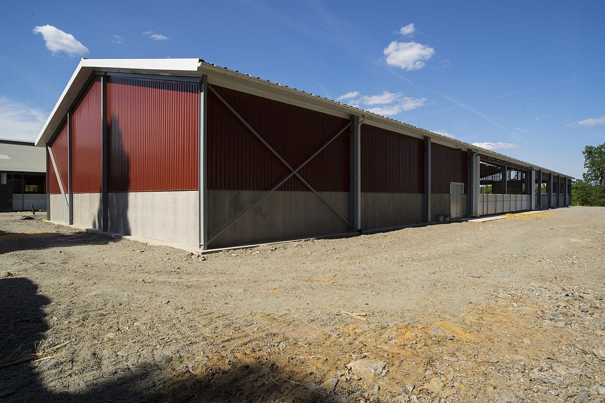 Cattle house, Ljung Sweden | BYGGLANT