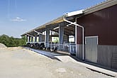 Cattle house, Ljung Sweden | BYGGLANT