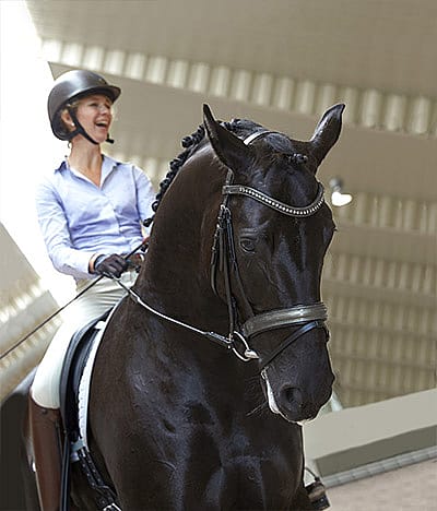 borga_steel_buildings_riding_case_raback_1