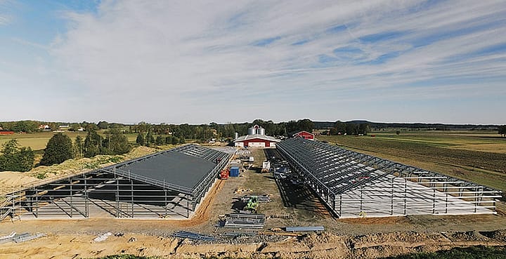 Chicken stable