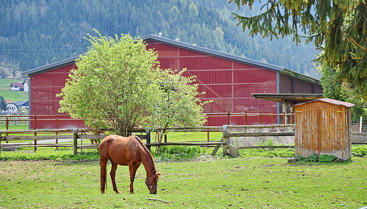 Reithalle