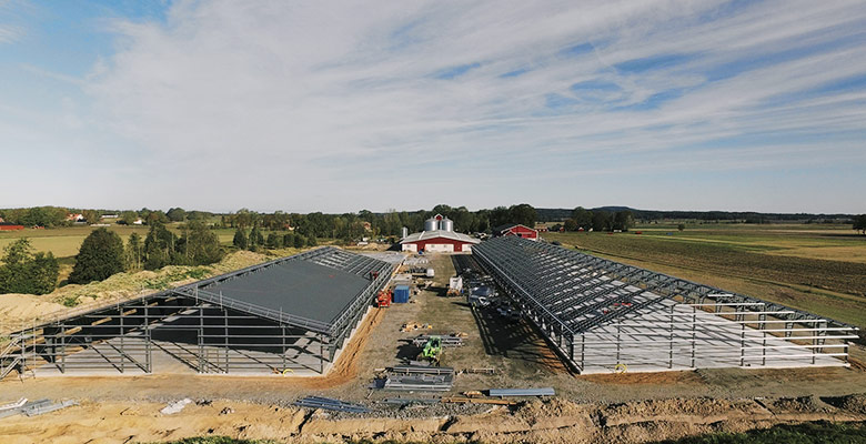 Chicken stable